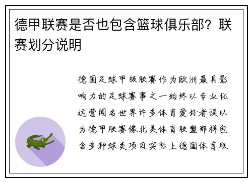德甲联赛是否也包含篮球俱乐部？联赛划分说明