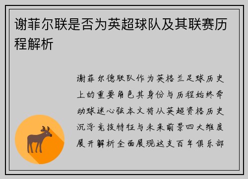 谢菲尔联是否为英超球队及其联赛历程解析