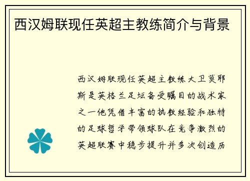 西汉姆联现任英超主教练简介与背景